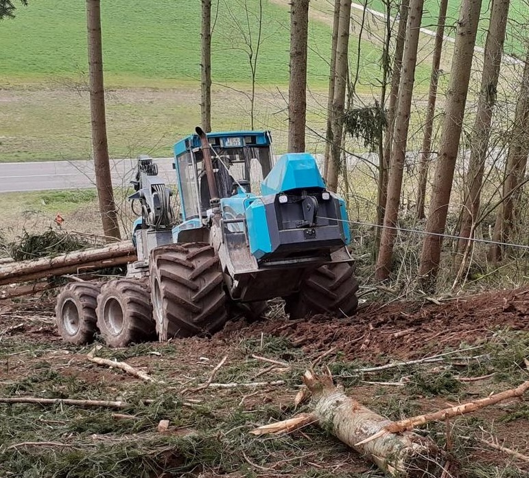 Professionelle Forstarbeit