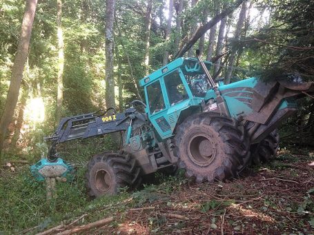 Professionelle Landschaftspflege